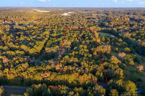 Купить земельный участок в Реддик, Флорида № 1550820 - фото 15
