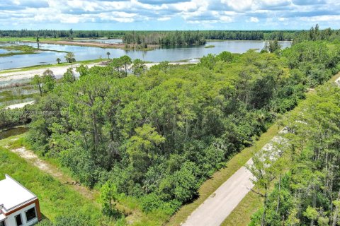 Terreno en venta en Lehigh Acres, Florida № 1890556 - foto 6