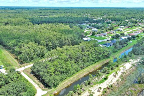 Terreno en venta en Lehigh Acres, Florida № 1890556 - foto 9