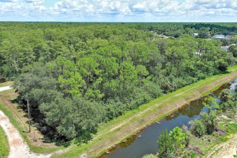 Terreno en venta en Lehigh Acres, Florida № 1890556 - foto 13