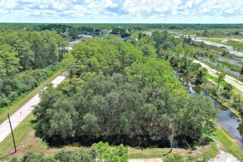 Terreno en venta en Lehigh Acres, Florida № 1890556 - foto 14