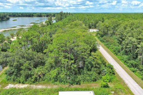 Terreno en venta en Lehigh Acres, Florida № 1890556 - foto 11