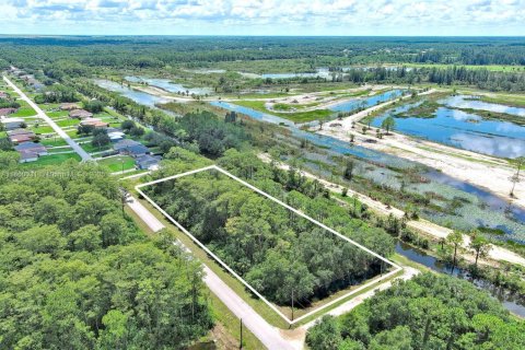 Terreno en venta en Lehigh Acres, Florida № 1890556 - foto 1