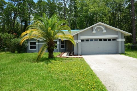 Villa ou maison à louer à Palm Coast, Floride: 3 chambres, 132.94 m2 № 1875860 - photo 1