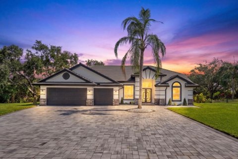 Villa ou maison à Tampa, Floride 4 chambres, 222.41 m2 № 2411562