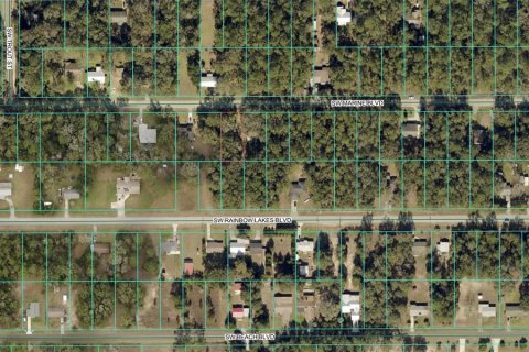 Land in Dunnellon, Florida № 2165323 - photo 2