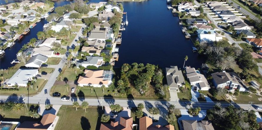 Terrain à Palm Coast, Floride № 2099447