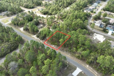 Land in Citrus Springs, Florida № 2285332
