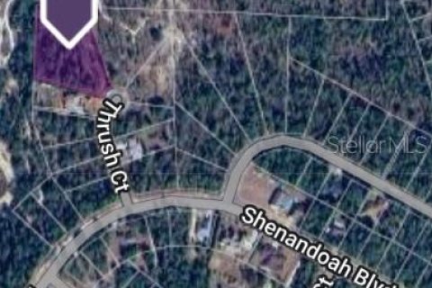 Terreno en venta en Chipley, Florida № 2159698 - foto 2
