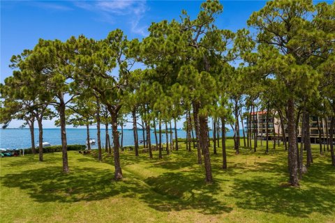 Condo in Dunedin, Florida, 2 bedrooms  № 1837583 - photo 30