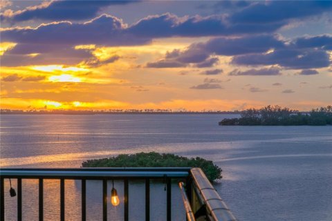 Condo in Dunedin, Florida, 2 bedrooms  № 1837583 - photo 19
