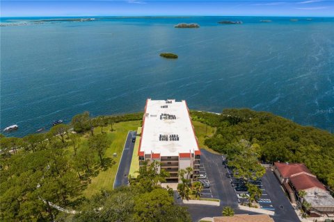 Condo in Dunedin, Florida, 2 bedrooms  № 1837583 - photo 3