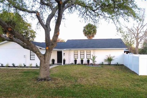 Villa ou maison à New Smyrna Beach, Floride 3 chambres, 153.2 m2 № 2092407