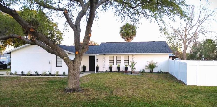 Villa ou maison à New Smyrna Beach, Floride 3 chambres, 153.2 m2 № 2092407