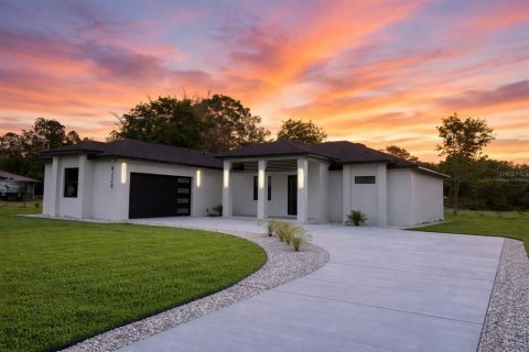 Villa ou maison à Wesley Chapel, Floride 4 chambres, 225.2 m2 № 2348320