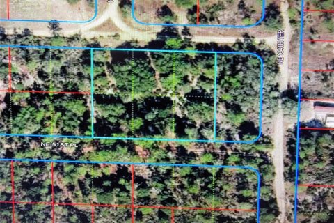 Land in Williston, Florida № 2166424 - photo 2