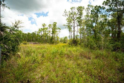 House in Fellsmere, Florida 3 bedrooms, 185.8 sq.m. № 2185990 - photo 13