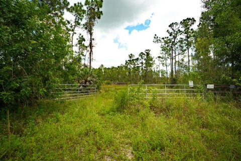 House in Fellsmere, Florida 3 bedrooms, 185.8 sq.m. № 2185990 - photo 20