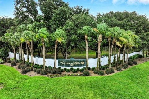 Land in Inverness, Florida № 1810587 - photo 23