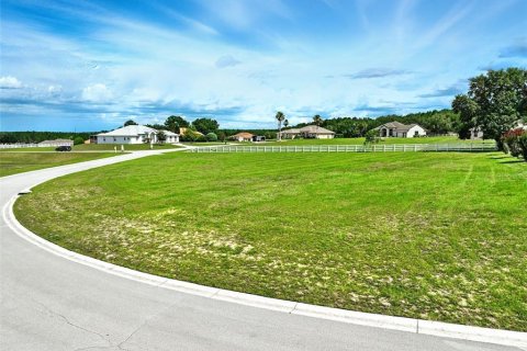 Land in Inverness, Florida № 1810587 - photo 1