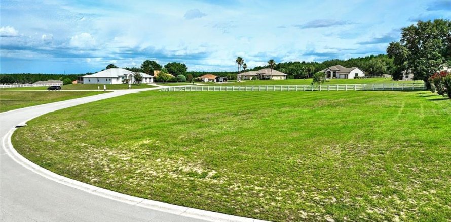 Land in Inverness, Florida № 1810587