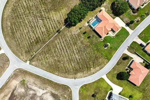 Land in Inverness, Florida № 1810587 - photo 12