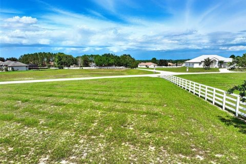 Land in Inverness, Florida № 1810587 - photo 21