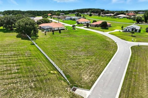 Land in Inverness, Florida № 1810587 - photo 17