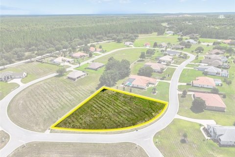 Land in Inverness, Florida № 1810587 - photo 11