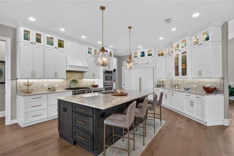 Villa ou maison à vendre à Yalaha, Floride: 4 chambres, 363.43 m2 № 2295048 - photo 7