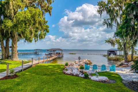 Villa ou maison à vendre à Yalaha, Floride: 4 chambres, 363.43 m2 № 2295048 - photo 3