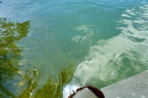 Copropriété à vendre à Miami Beach, Floride: 1 chambre, 56.02 m2 № 2013433 - photo 17