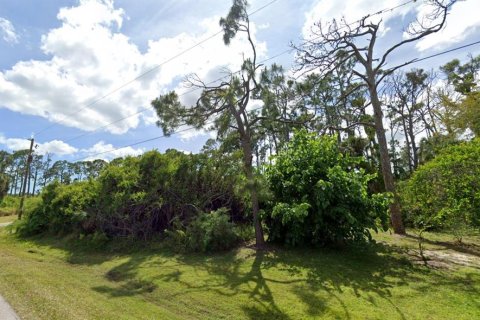 Terreno en venta en Port Charlotte, Florida № 2238820 - foto 7