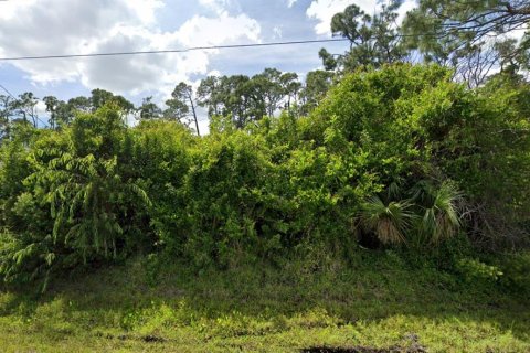 Terreno en venta en Port Charlotte, Florida № 2238820 - foto 4