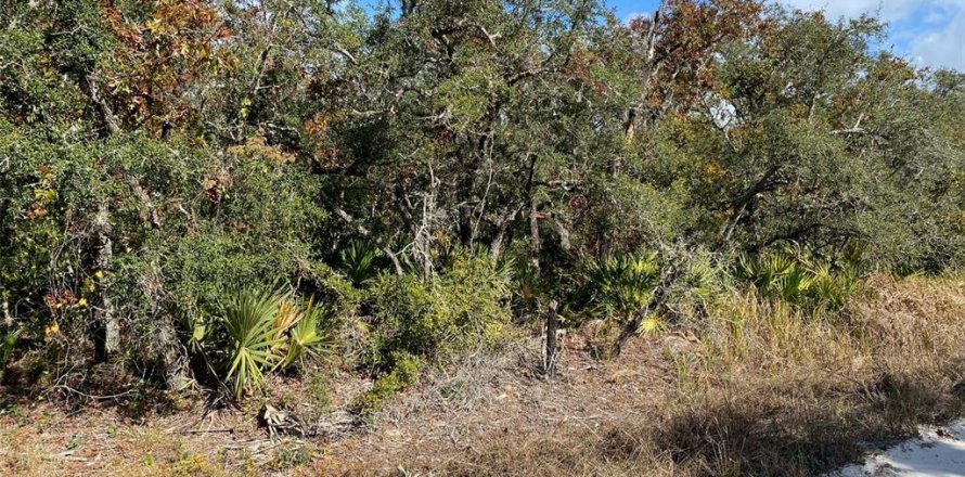 Terrain à Frostproof, Floride № 1555486