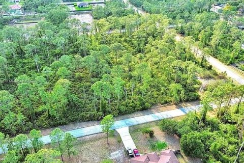 Land in Alva, Florida № 2164332 - photo 8
