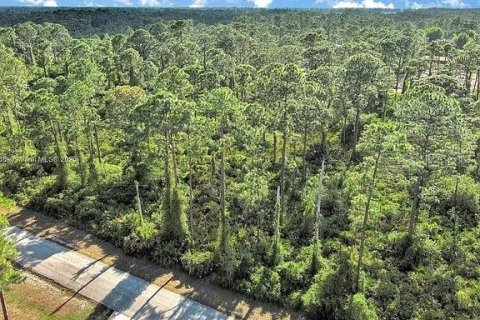 Land in Alva, Florida № 2164332 - photo 4