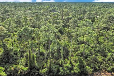 Land in Alva, Florida № 2164332 - photo 3