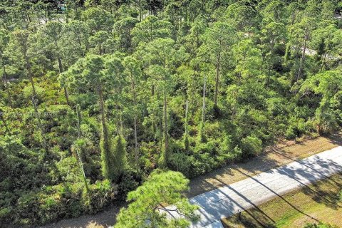 Land in Alva, Florida № 2164332 - photo 11
