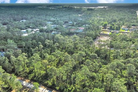Land in Alva, Florida № 2164332 - photo 5