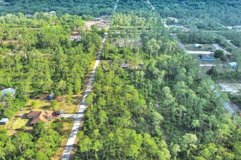 Land in Alva, Florida № 2164332 - photo 13