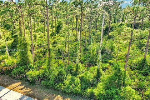 Land in Alva, Florida № 2164332