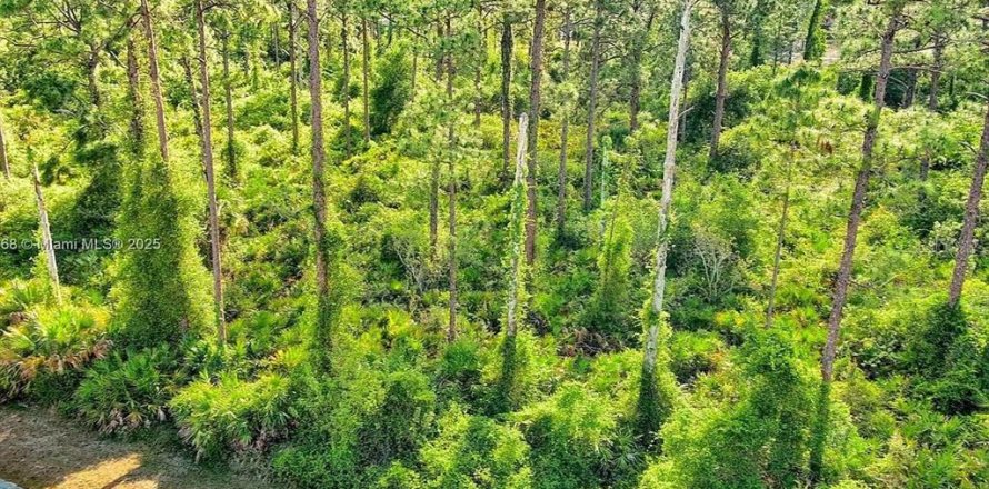 Land in Alva, Florida № 2164332