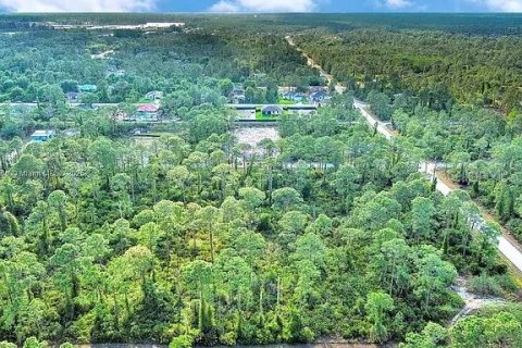 Land in Alva, Florida № 2164332 - photo 6