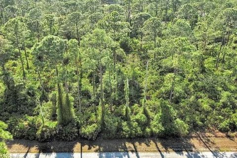 Land in Alva, Florida № 2164332 - photo 2