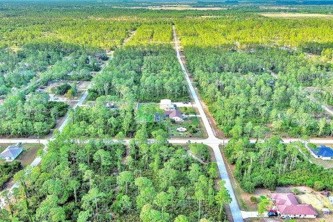 Land in Alva, Florida № 2164332 - photo 9