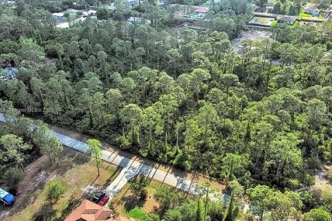 Land in Alva, Florida № 2164332 - photo 12