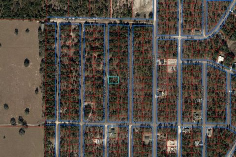 Land in Williston, Florida № 2165270 - photo 5