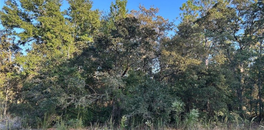 Land in Williston, Florida № 2165270