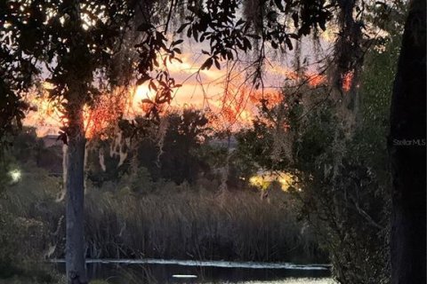 Land in Land O' Lakes, Florida № 2215118 - photo 16